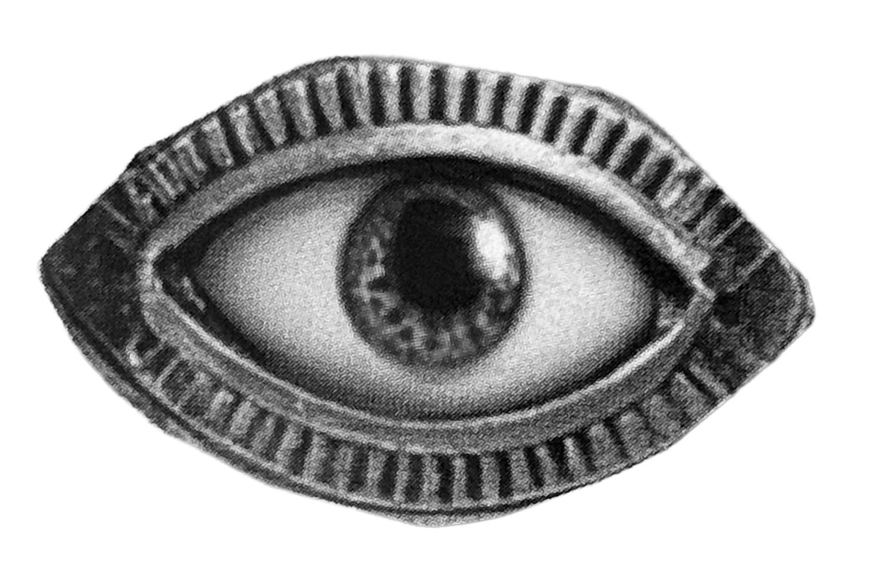 Gold and blue eye
