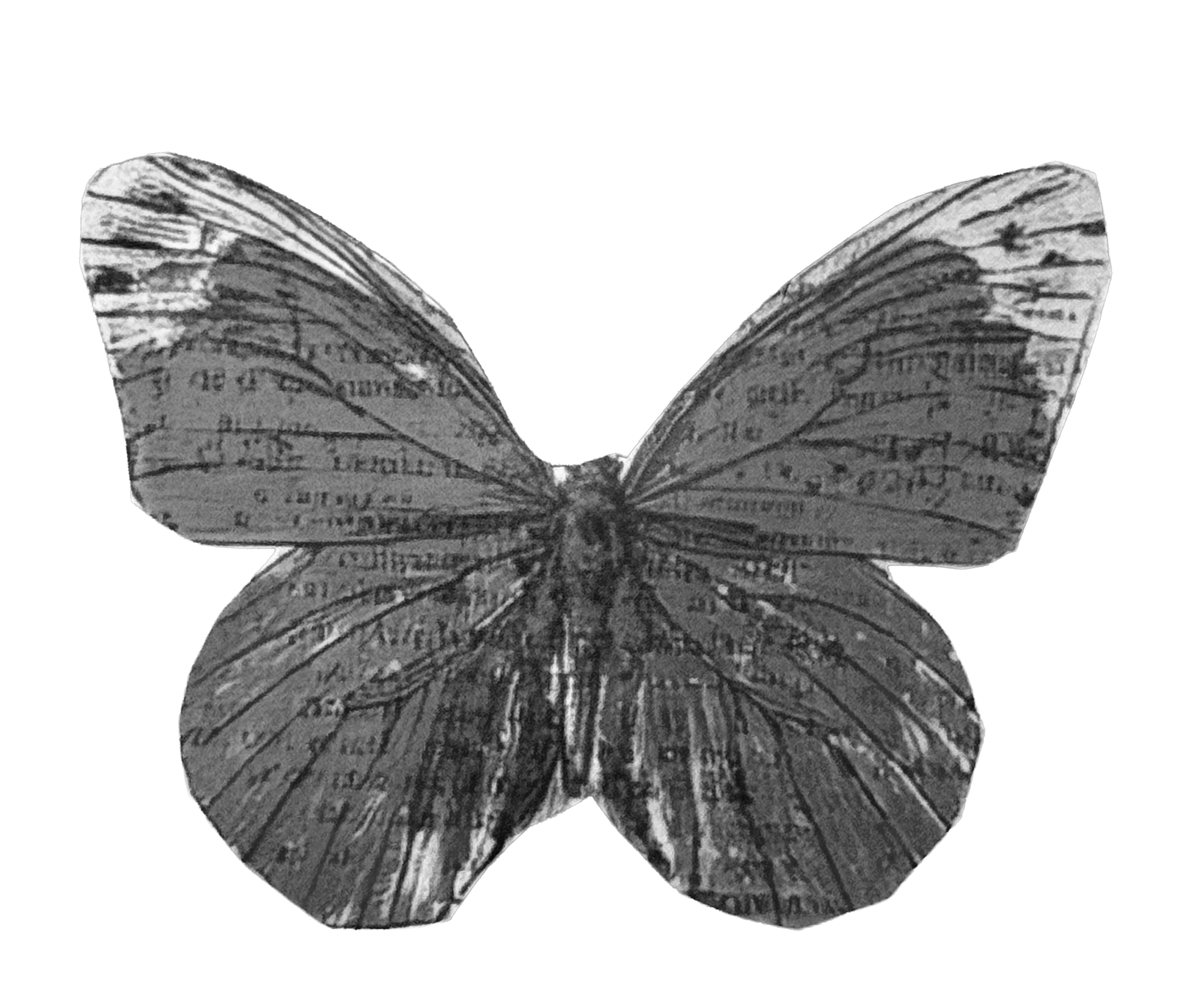 Butterfly with newsprint wings