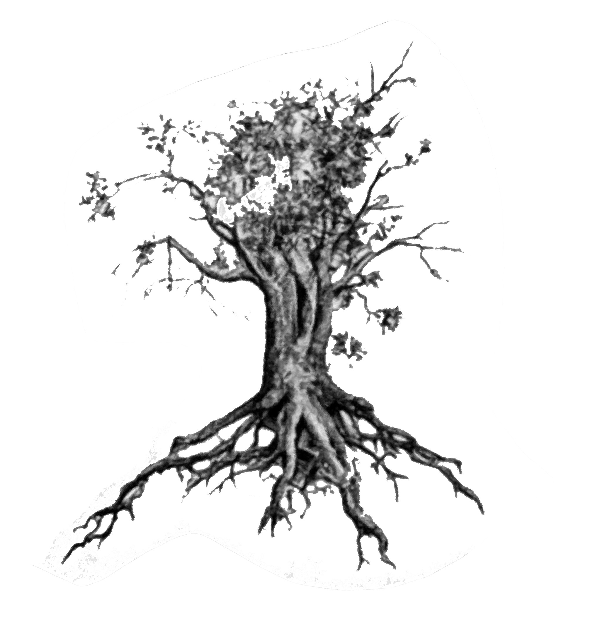 Tree with roots — circular vignette