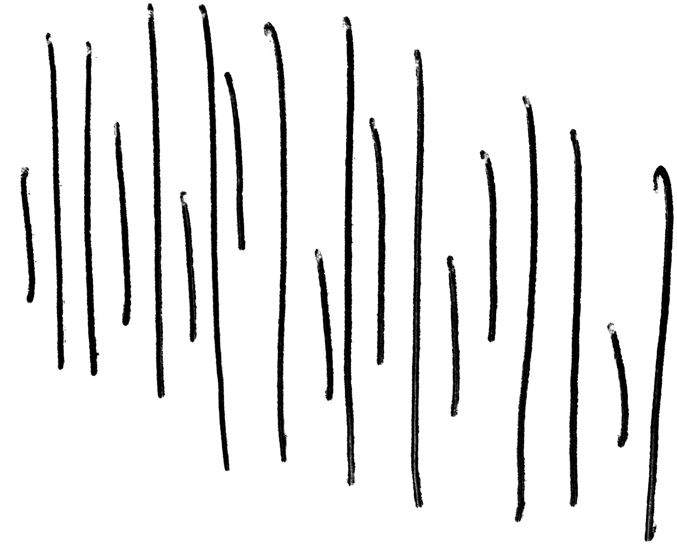 Misc 21