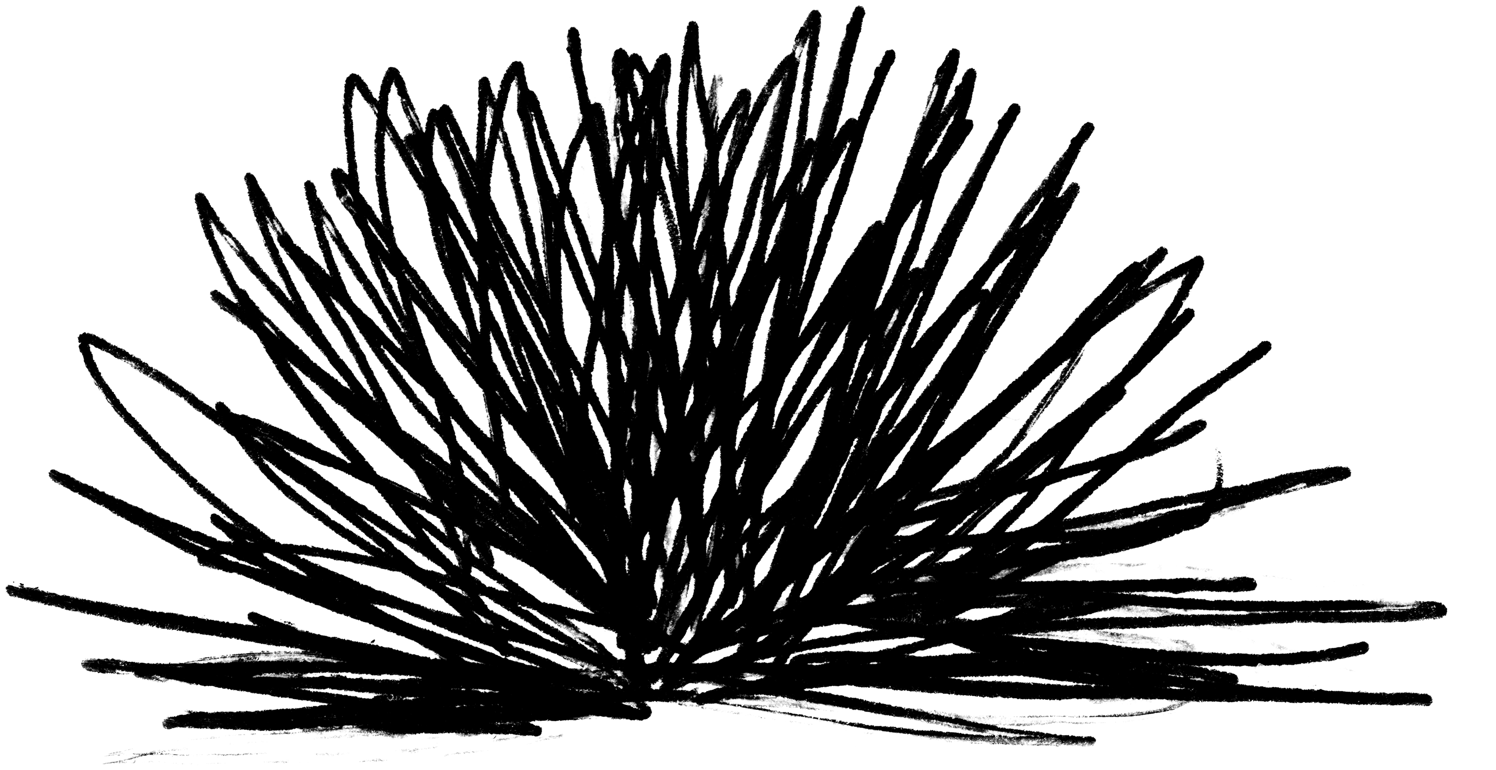 Misc 44