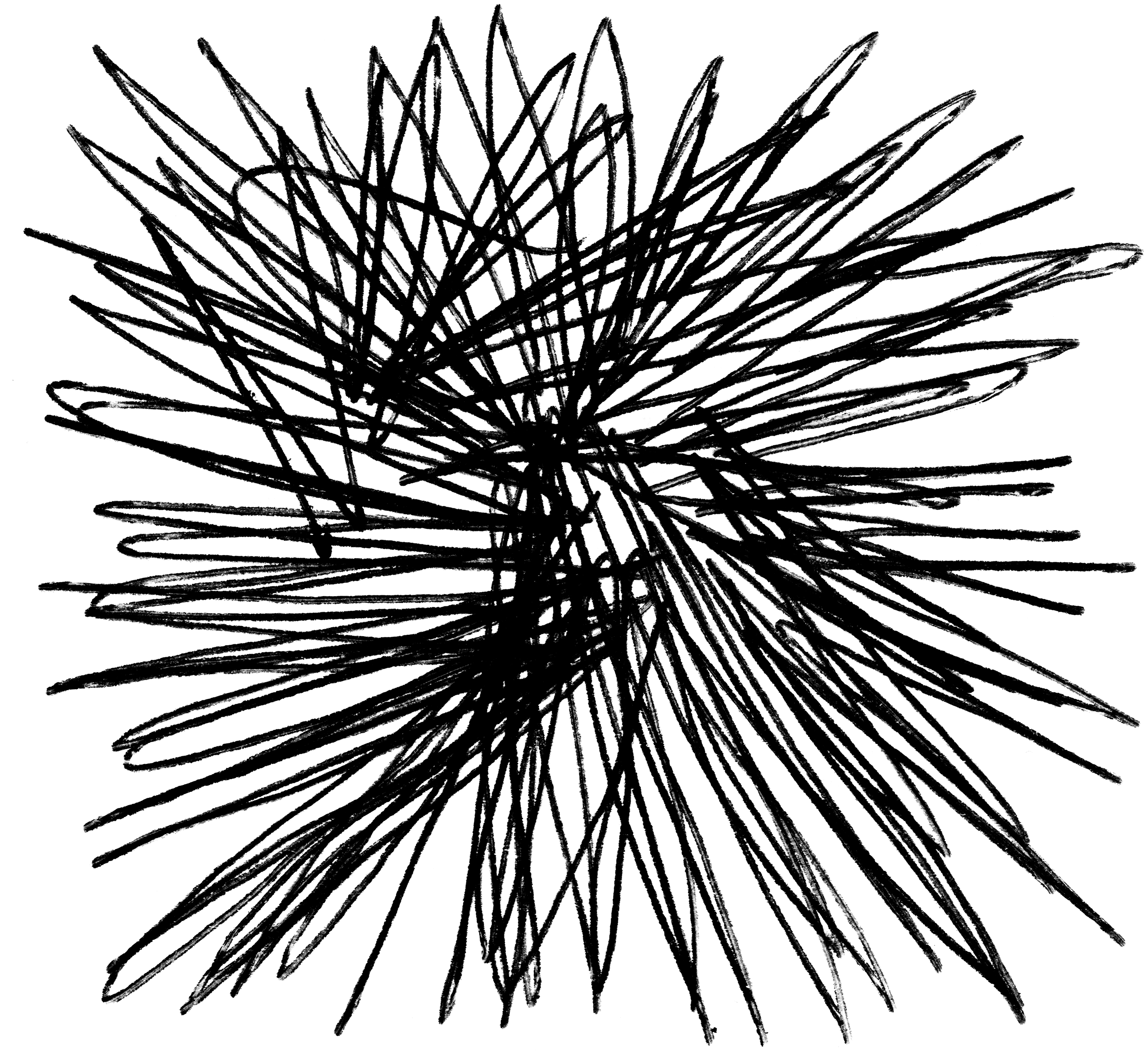 Misc 45