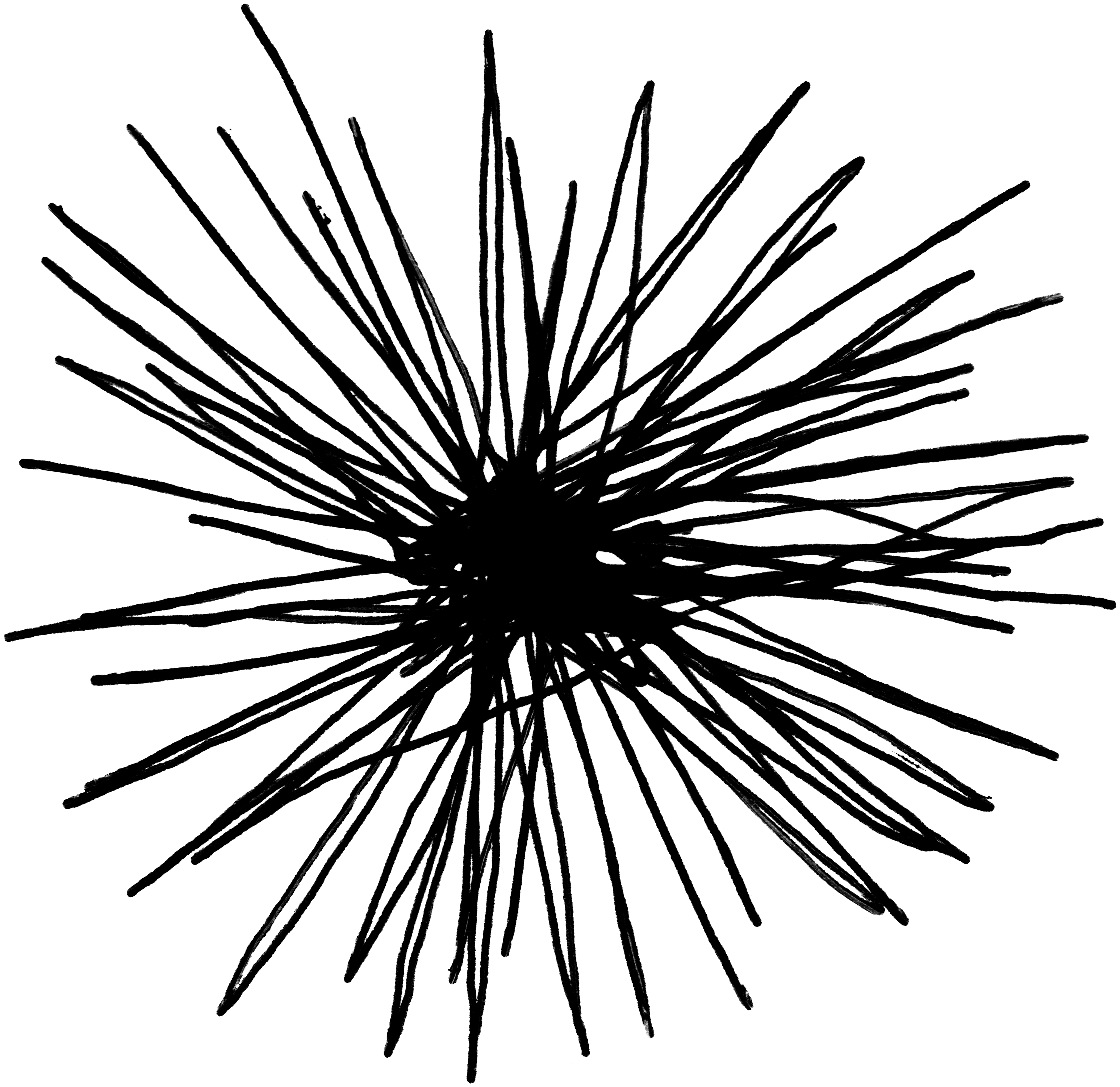 Misc 46