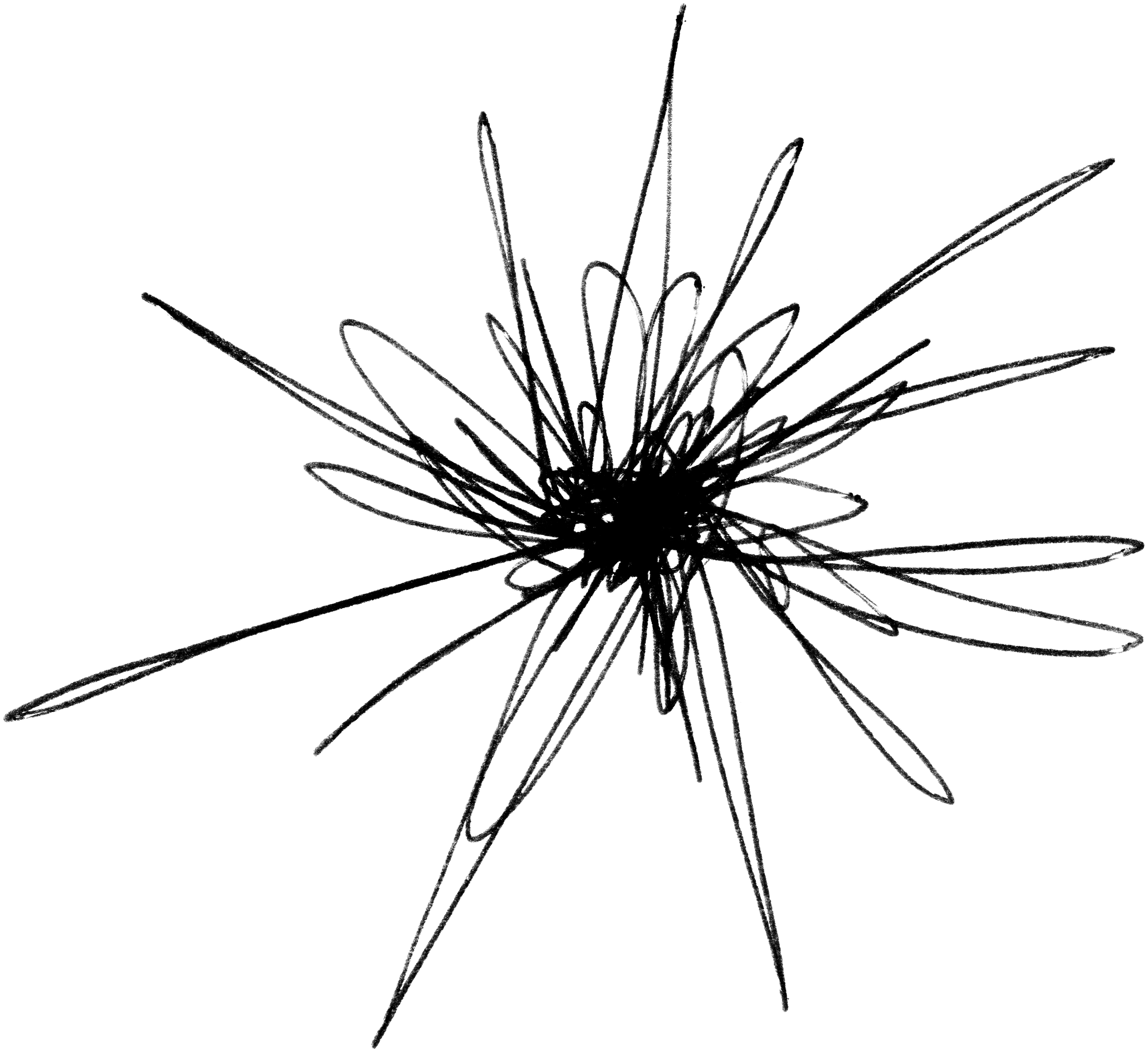 Misc 49