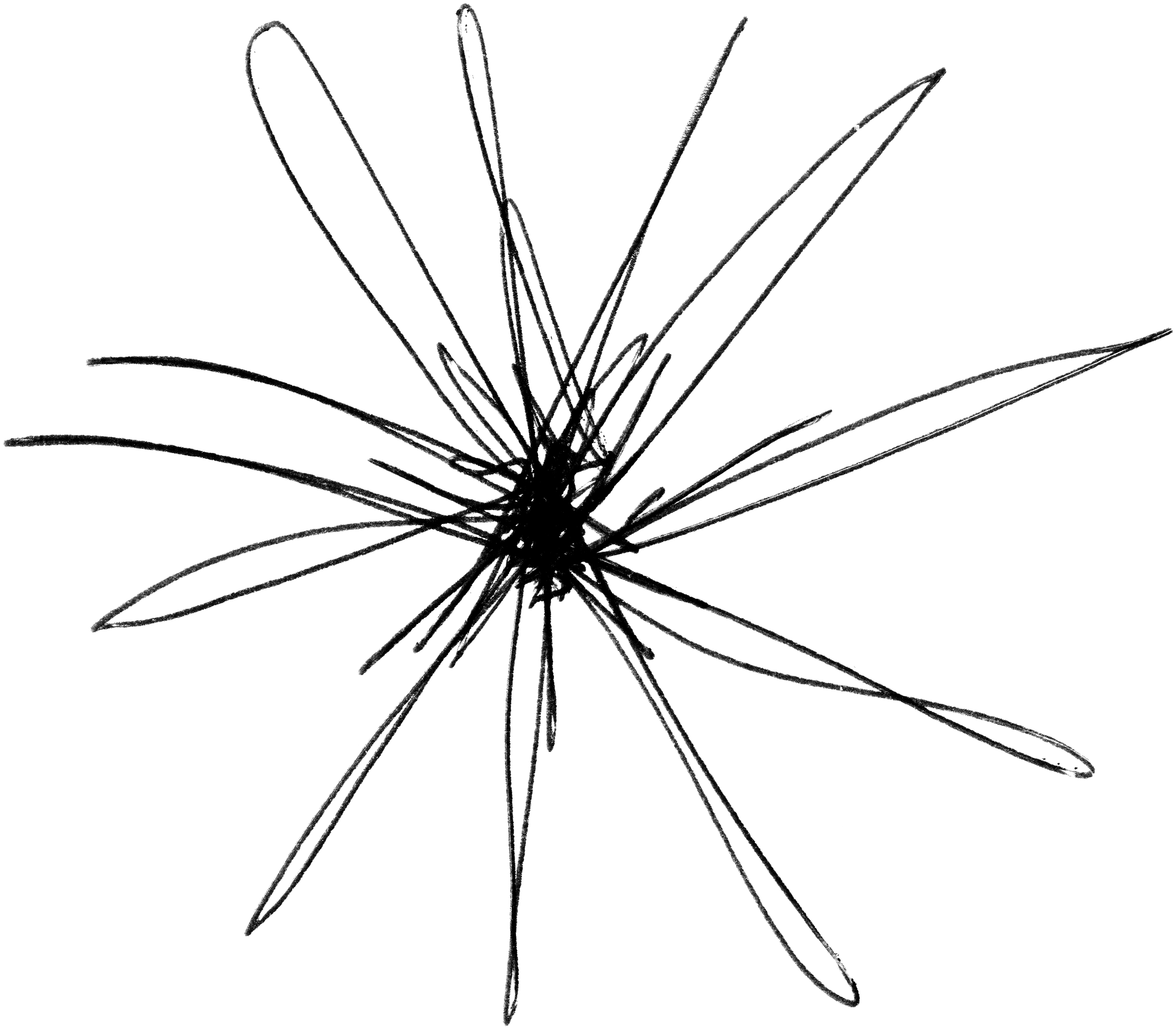 Misc 50