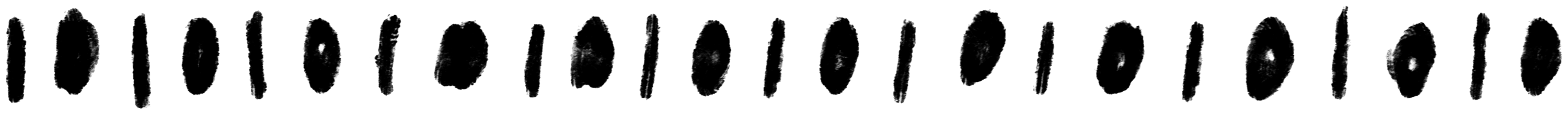 Ornamental 11