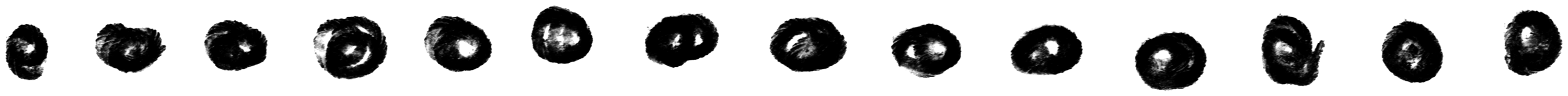 Ornamental 14