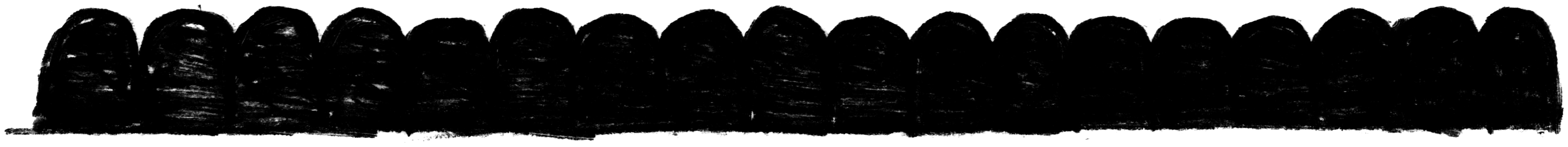 Ornamental 21