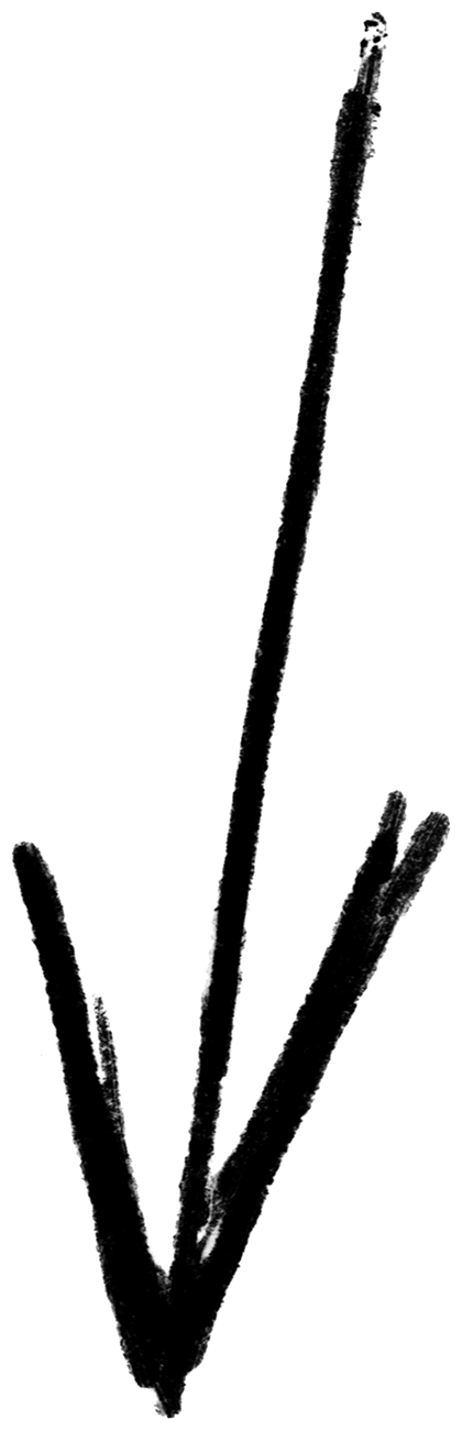 Shape Arrow 25