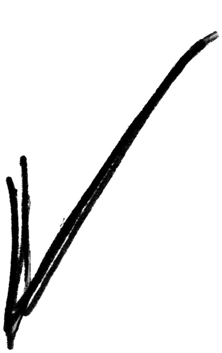 Shape Cross 11