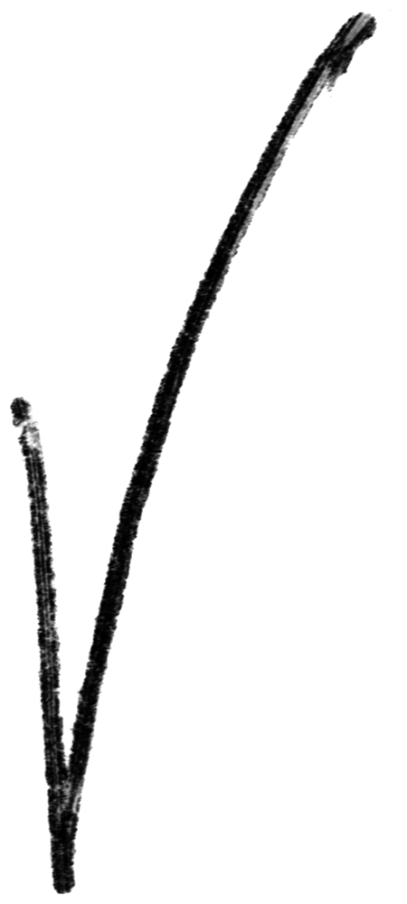 Shape Cross 15