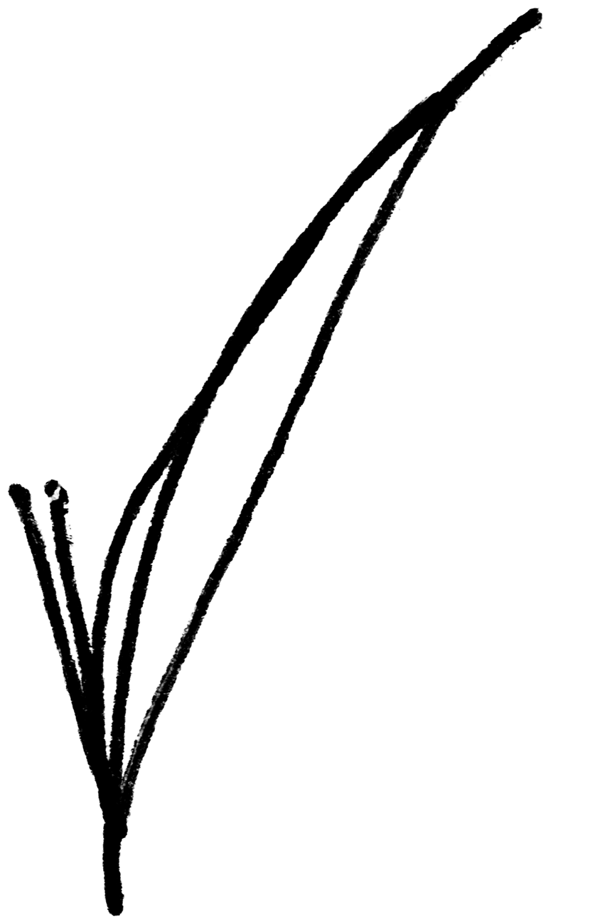 Shape Cross 19