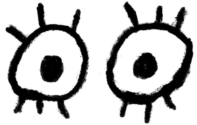 Shape Face 23