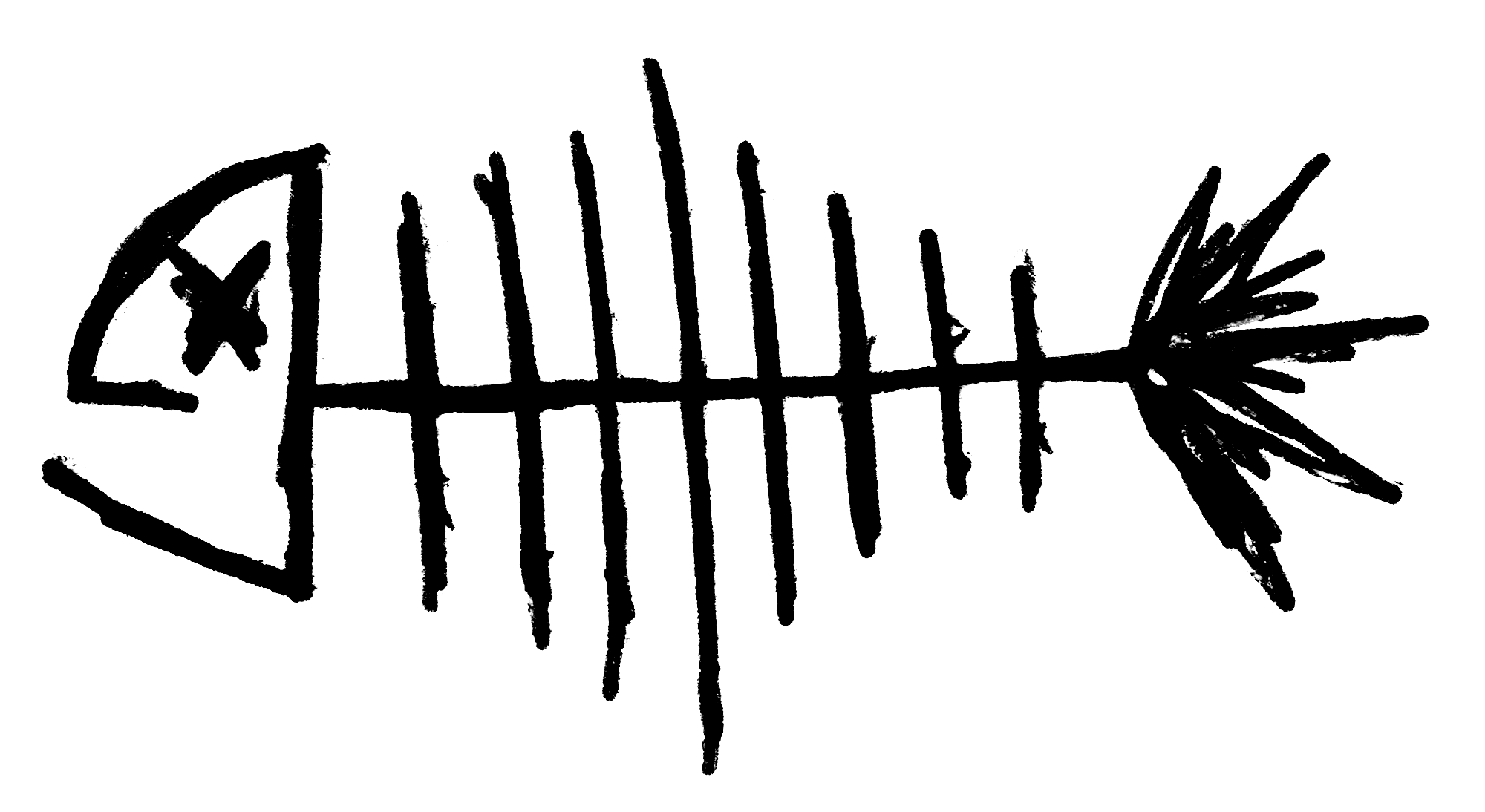 Shape Face 25