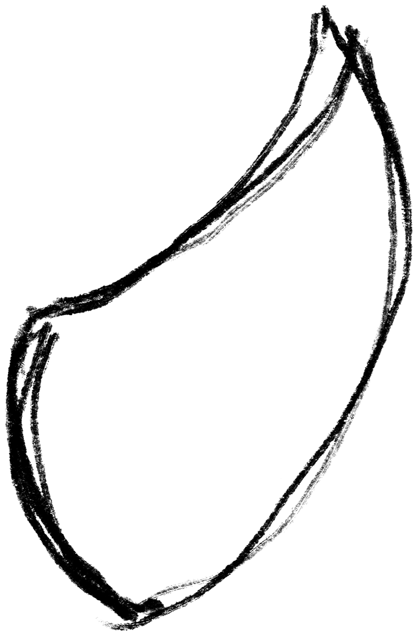 Shape Face 34