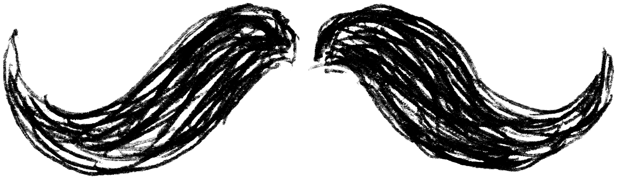 Shape Face 39