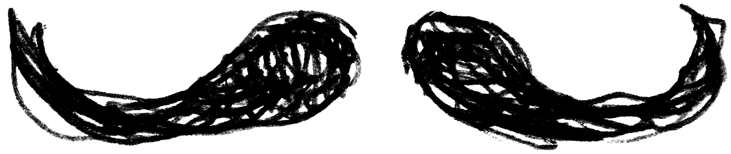 Shape Face 41