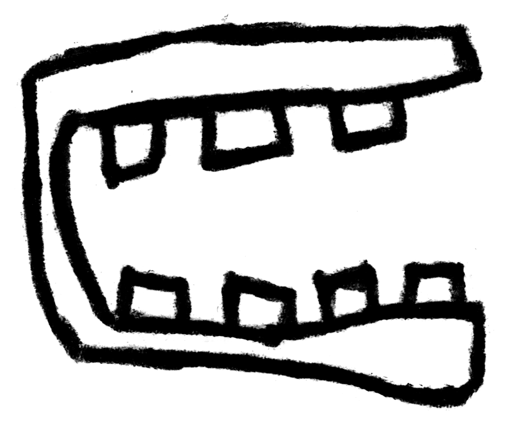 Shape Face 49