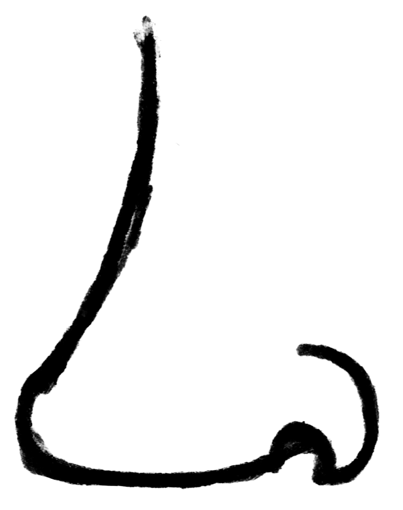 Shape Face 53