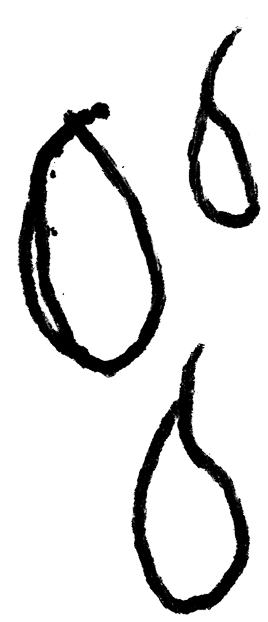 Shape Face 65