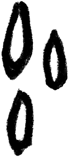 Shape Face 66