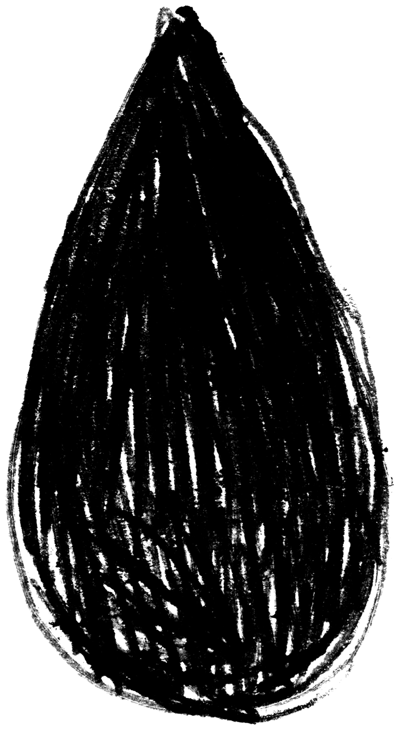 Shape Misc 30