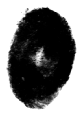 Shape Punctuation 15